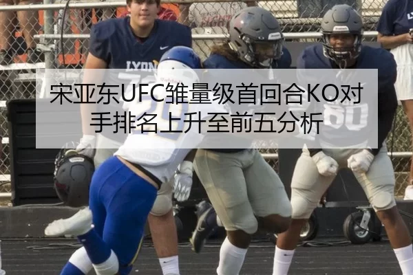 宋亚东UFC雏量级首回合KO对手排名上升至前五分析